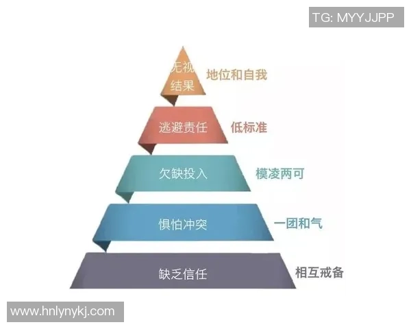 杭州篮球队的团队协作之道：共创辉煌的背后故事与实践探索